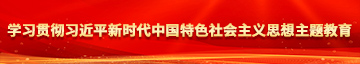 欧美操肥女人在线视频学习贯彻习近平新时代中国特色社会主义思想主题教育